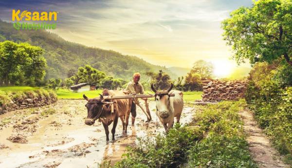 कृषि बजट 11 गुना बढ़कर वित्त वर्ष 2014 से 1.34 लाख करोड़ रुपये हो गया: संतोष गंगवार कृषि बजट 11 गुना बढ़कर वित्त वर्ष 2014 से 1.34 लाख करोड़ रुपये हो गया: संतोष गंगवार